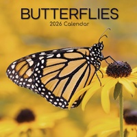 Butterflies - 2026 Gifted Stationery Wall Calendar Colourful Nature Insects