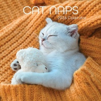 Cat Naps - 2026 Gifted Stationery Wall Calendar Sleeping Cats Photography