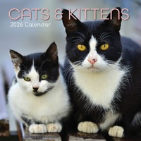 Cats and Kittens - 2026 Gifted Stationery Wall Calendar Monthly Planner Cats