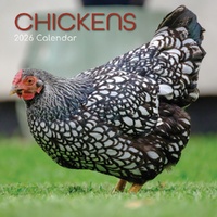 Chickens - 2026 Gifted Stationery Wall Calendar Monthly Planner Farm Animals