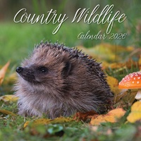 Country Wildlife - 2026 Gifted Stationery Wall Calendar Rural Nature Animals