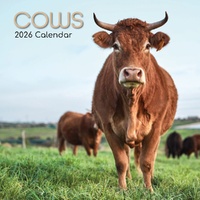 Cows - 2026 Gifted Stationery Wall Calendar Monthly Planner Farm Animals