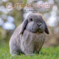 Cute Bunnies - 2026 Gifted Stationery Wall Calendar Rabbit Photography