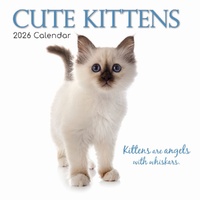 Cute Kittens - 2026 Gifted Stationery Wall Calendar Monthly Planner Cats