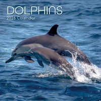 Dolphins - 2026 Gifted Stationery Wall Calendar Monthly Planner Ocean Life