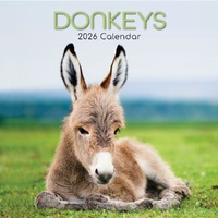 Donkeys - 2026 Gifted Stationery Wall Calendar Rustic Farm Animal Photos