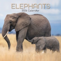 Elephants - 2026 Gifted Stationery Wall Calendar Majestic Wildlife Images