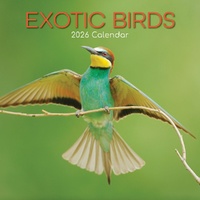 Exotic Birds - 2026 Gifted Stationery Wall Calendar Colourful Bird Photography