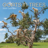 Goats in Trees - 2026 Gifted Stationery Wall Calendar Funny Animal Photos