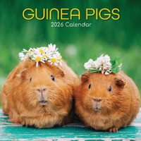 Guinea Pigs - 2026 Gifted Stationery Wall Calendar Monthly Planner Pets