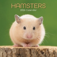 Hamsters - 2026 Gifted Stationery Wall Calendar Cute Pet Photography