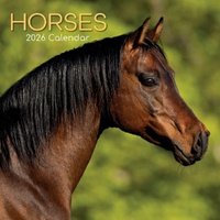 Horses - 2026 Gifted Stationery Wall Calendar Equestrian Photography