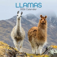 Llamas - 2026 Gifted Stationery Wall Calendar Quirky Animal Photos
