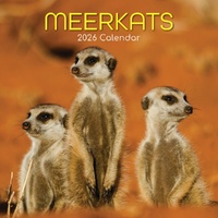 Meerkats - 2026 Gifted Stationery Wall Calendar Monthly Planner Wildlife