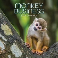Monkey Business - 2026 Gifted Stationery Wall Calendar Playful Primates