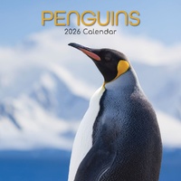 Penguins - 2026 Gifted Stationery Wall Calendar Planner Antarctic Wildlife