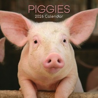 Piggies - 2026 Gifted Stationery Wall Calendar Farmyard Pet Photography