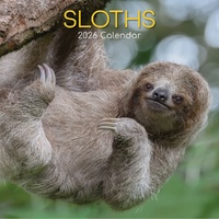 Sloths - 2026 Gifted Stationery Wall Calendar Cute Jungle Animal Photos