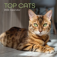 Top Cats - 2026 Gifted Stationery Wall Calendar Feline Photography Series