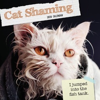 Cat Shaming - 2026 Gifted Stationery Wall Calendar Funny Cat Photos & Quotes