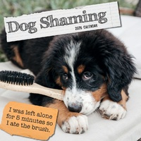Dog Shaming - 2026 Gifted Stationery Wall Calendar Cheeky Dog Moments & Humor