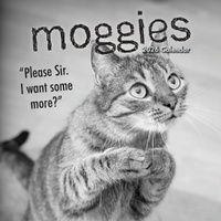 Moggies - 2026 Gifted Stationery Wall Calendar Quirky Cat Expressions & Quotes