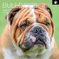 Bulldogs - 2026 Gifted Stationery Wall Calendar Dog Breed Photography