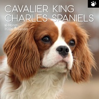 Cavalier King Charles Spaniels - 2026 Gifted Stationery Dog Breed Calendar