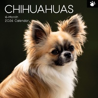 Chihuahuas - 2026 Gifted Stationery Wall Calendar Dog Breed Photography