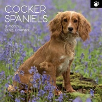 Cocker Spaniels - 2026 Gifted Stationery Wall Calendar Dog Breed Photography