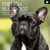 French Bulldogs - 2026 Gifted Stationery Wall Calendar Dog Breed Photography