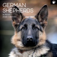 German Shepherds - 2026 Gifted Stationery Wall Calendar Dog Breed Photography