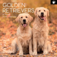 Golden Retrievers - 2026 Gifted Stationery Wall Calendar Dog Breed Photography