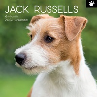 Jack Russells - 2026 Gifted Stationery Wall Calendar Dog Breed Photography