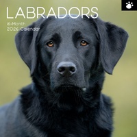 Labradors - 2026 Gifted Stationery Wall Calendar Dog Breed Photography