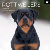 Rottweilers - 2026 Gifted Stationery Wall Calendar Dog Breed Photography