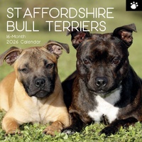 Staffordshire Bull Terriers - 2026 Gifted Stationery Dog Breed Calendar