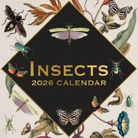 Insects - 2026 Gifted Stationery Wall Calendar Nature Entomology Art Prints
