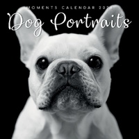 Dog Portraits - 2026 Gifted Stationery Wall Calendar Canine Photography Art