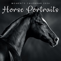 Horse Portraits - 2026 Gifted Stationery Wall Calendar Equestrian Photography