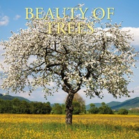 Beauty of Trees - 2026 Gifted Stationery Wall Calendar Tree Photography
