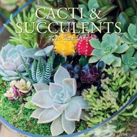 Cacti & Succulents - 2026 Gifted Stationery Wall Calendar Desert Plants Art