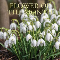Flower of the Month - 2026 Gifted Stationery Wall Calendar Monthly Floral Guide