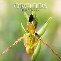 Orchids - 2026 Gifted Stationery Wall Calendar Orchid Varieties Photography