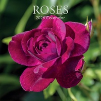 Roses - 2026 Gifted Stationery Wall Calendar Rose Garden Photography