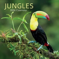 Jungles - 2026 Gifted Stationery Wall Calendar Tropical Rainforests