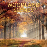Woodland Scenes - 2026 Gifted Stationery Wall Calendar Forest Landscapes