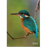 Birds - 2026 Gifted Stationery A5 Padded Diary Planner Wildlife Design