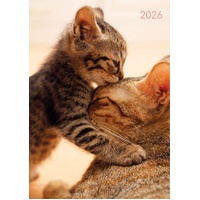 Cats and Kittens - 2026 Gifted Stationery A5 Padded Diary Planner Pet Lovers