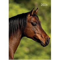 Horses - 2026 Gifted Stationery A5 Padded Diary Planner